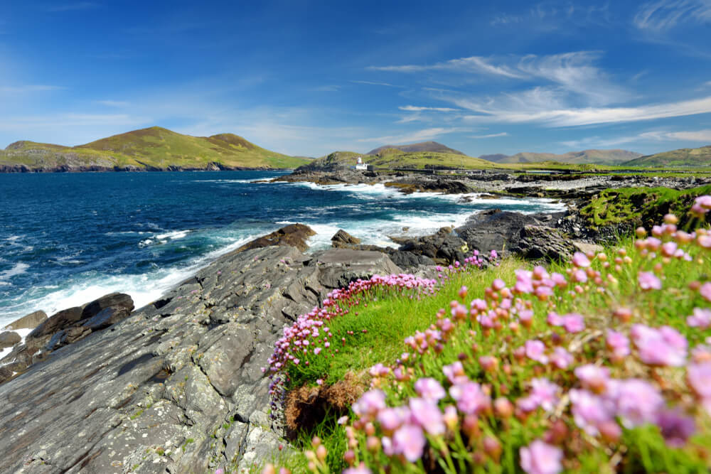South of Ireland beautiful coast with flowers