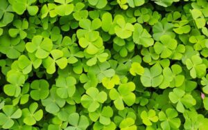 Traditional Irish Symbols: Their Meanings and Origins Explained
