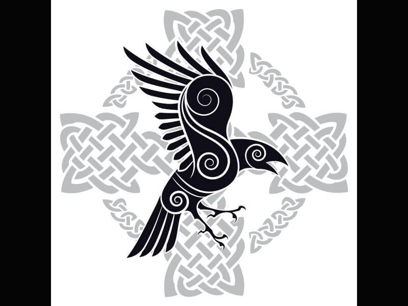 50 Odin Ravens Illustrations RoyaltyFree Vector Graphics  Clip Art   iStock
