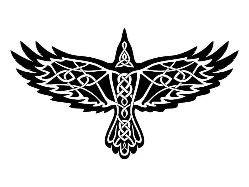 Odins Celtic Raven Scandinavian Tattoo Runic Stock Vector Royalty Free  1874602912  Shutterstock