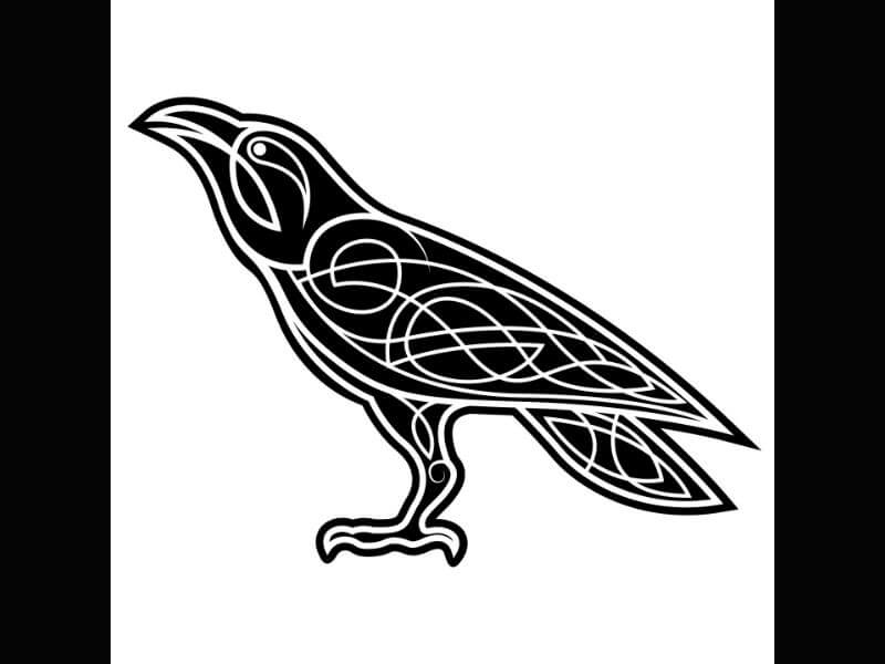 Buy Celtic Eagle Raven Viking Tattoo Logo Art svg png Vector for Online  in India  Etsy